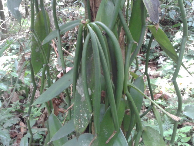 2014-09-11_11.31.50.jpg