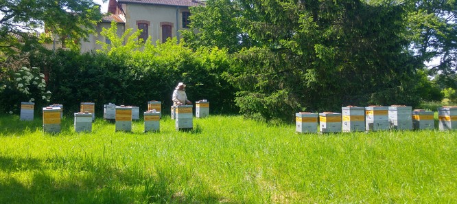 20160521_153857_HDR.jpg
