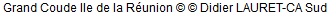 Cc.PNG