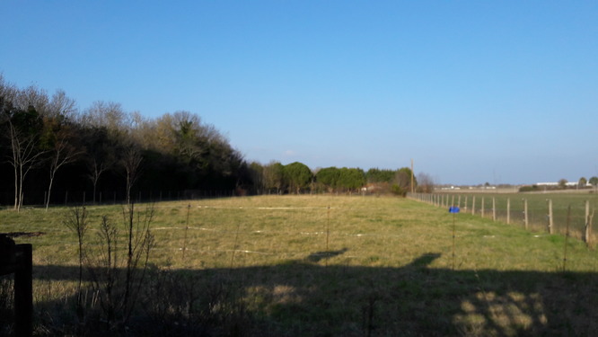 Terrain à aménager