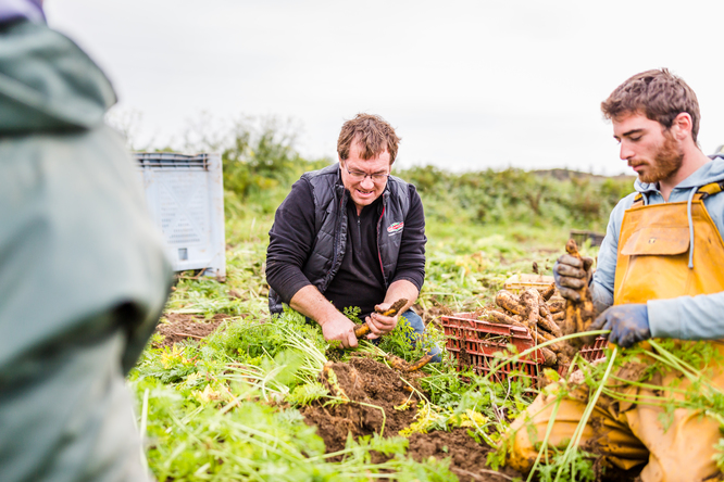 Pour des légumes anciens bien cultivés