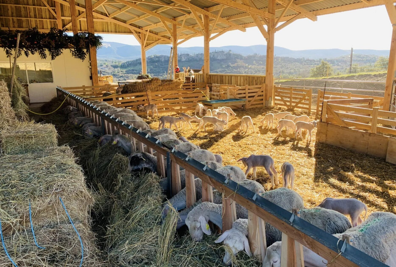 Pasted Graphic 2.png