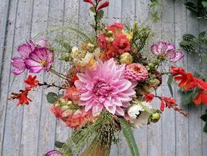 Une image contenant fleur, Fleuristerie, Fleurs coupées, Art floral

Le contenu généré par l’IA peut être incorrect.