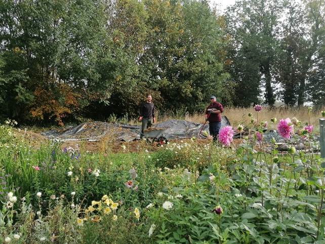 Une image contenant plein air, herbe, plante, Plante couvre-sol

Le contenu généré par l’IA peut être incorrect.