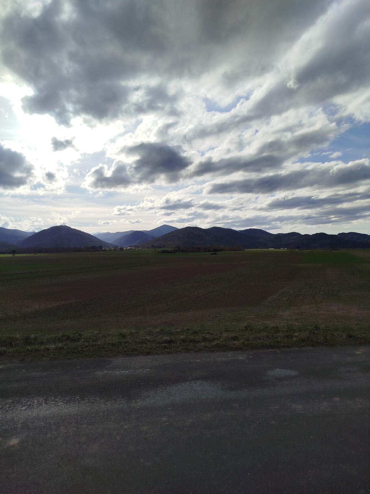 Parcelle n1 de culture 2026