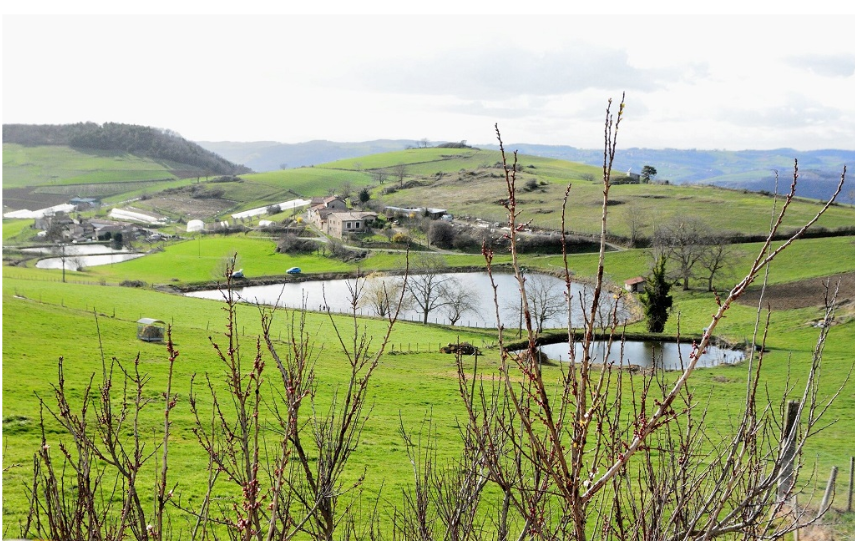 Paysage des Monts du Lyonnais