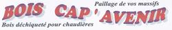 Logo bois cap avenir