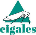 Images
