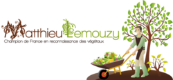 Logo mlemouzy transparent small