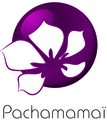 Logo lu ppt