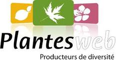 Logo plantes web