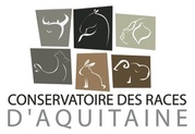 Logocra