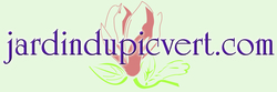 Logo pic vert.com