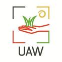 Uaw