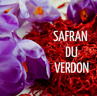 Crocus safran morbihan