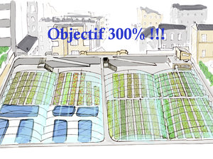 Dessin serre%282%29