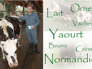 Tom et normandes