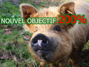 Cochon