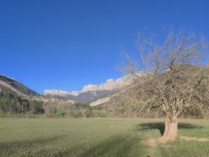 Img 0832 2