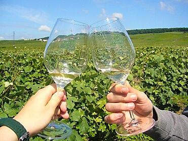 Deux flutes vigne ko