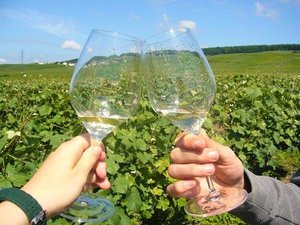 Deux flutes vigne ko