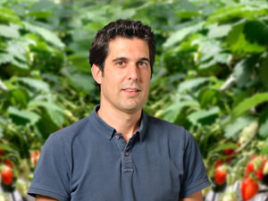 Franck vila fond vegetal