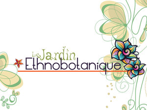 24006 header 2
