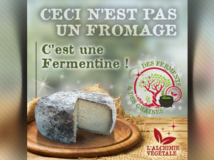 Dfedg couv miimosa
