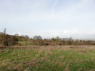 Terrain 1