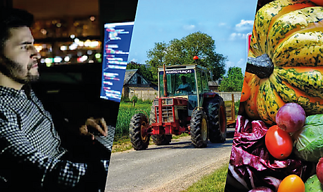 Plateforme manger fran%c3%a7ais producteurs locaux 4
