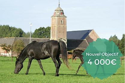 Espace r%c3%a9serv%c3%a9 au texte %281%29