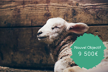 Espace r%c3%a9serv%c3%a9 au texte %283%29