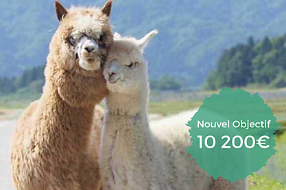 Espace r%c3%a9serv%c3%a9 au texte 3