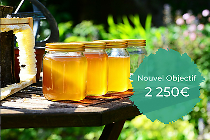 Espace re%cc%81serve%cc%81 au texte %282%29