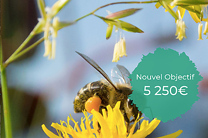 Espace re%cc%81serve%cc%81 au texte %281%29