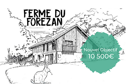 Sans titre %283%29