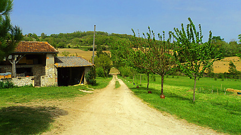 Dsc07132 copie