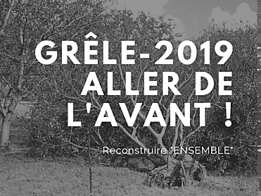 Gr%c3%aale 2019 aller de l'avant ! %281%29