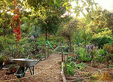 Permaculture