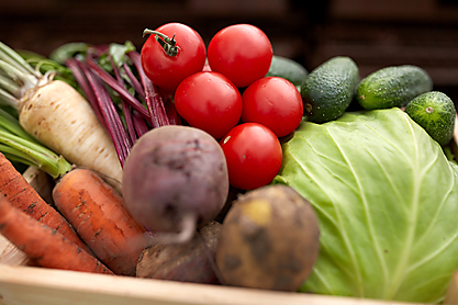 Close up of vegetables on farm p9hfkb6