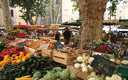 Marche.jpg zoom 559cf47ed5f4e