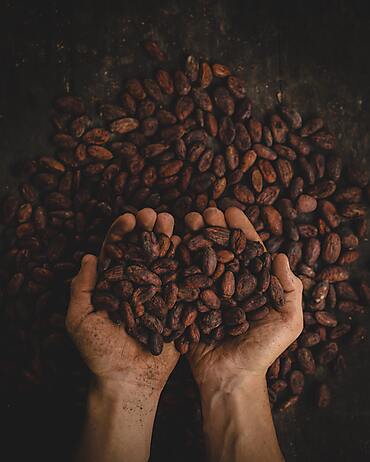 Pablo merchan montes scbq6ukcymy unsplash