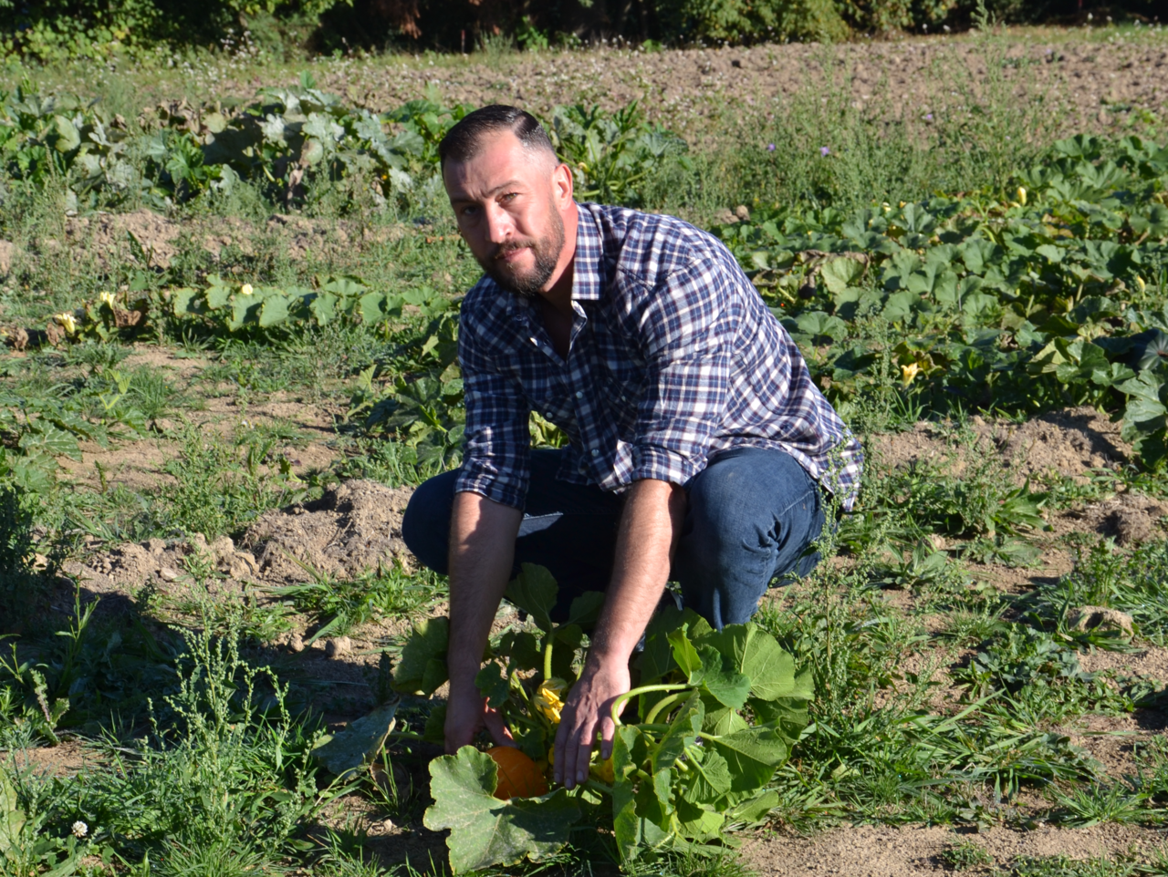 5 investissements pour améliorer votre production en serre - Le  jardinier-maraîcher