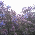 Photo0655