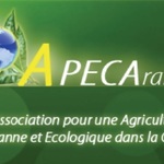Apeca logo modifie
