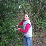 Photos laroque pour projet s%c3%a9choir et cabanes 013
