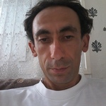 15312379655361659430466