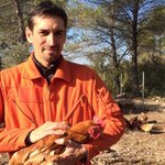 Poules 2 1 3371229