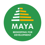 Maya bfd rondvert quadri