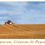 Vigneron cdep plantation